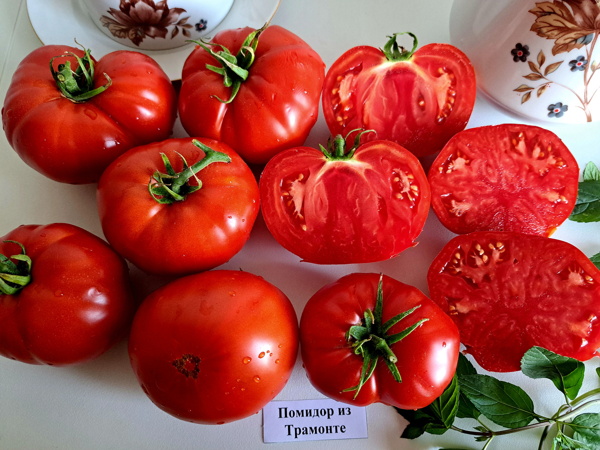 ЛИСТАЙТЕ ВПРАВО