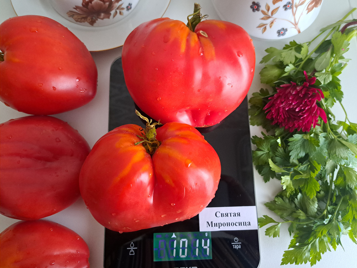 ЛИСТАЙТЕ ВПРАВО