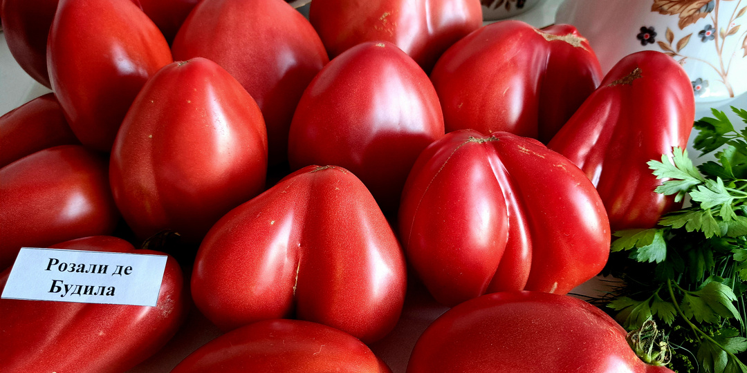 КАТАЛОГ томатов на 2026 г. №2