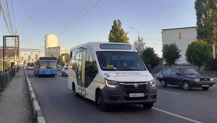    Фото: Алёна Воропаева