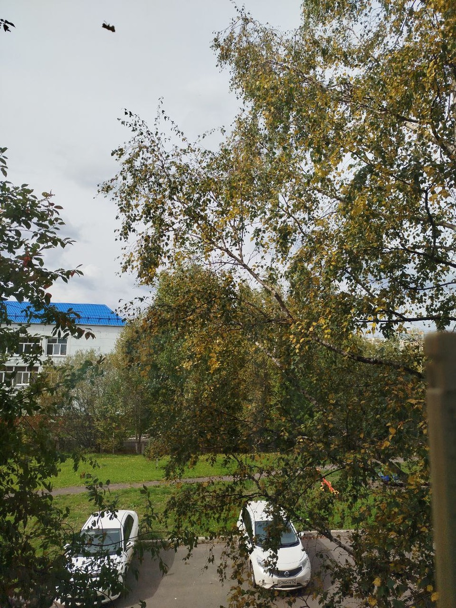 Вчерашнее утро