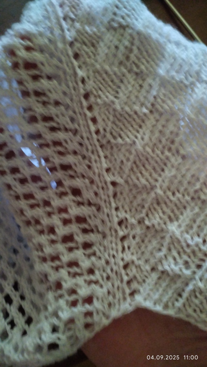 Вот такой проект, тело вяжу шахматкой, а рукава сетка