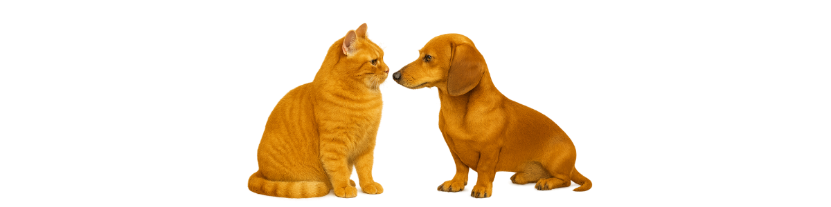 дзен-канал “Кто-то рассказал” https://dzen.ru/mnogoistorii