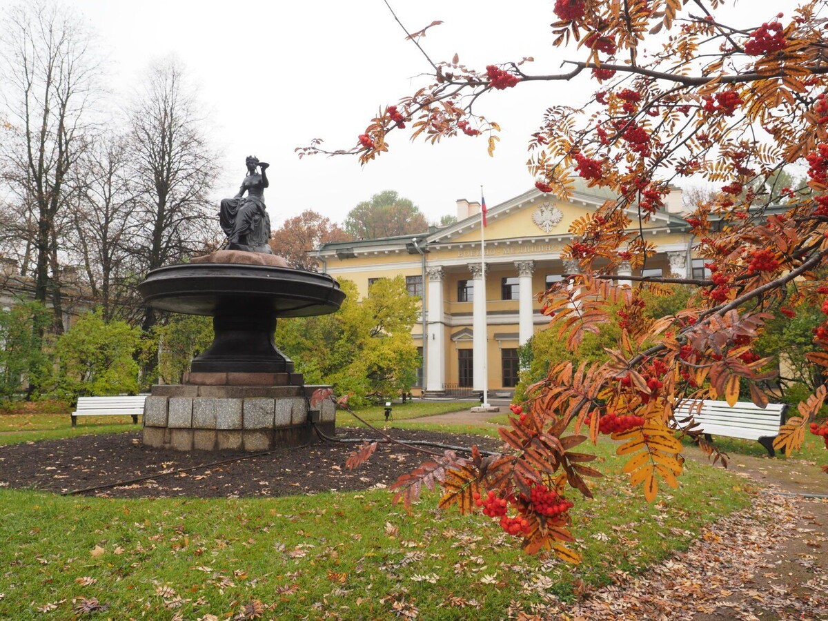     / Источник: © vmeda.org