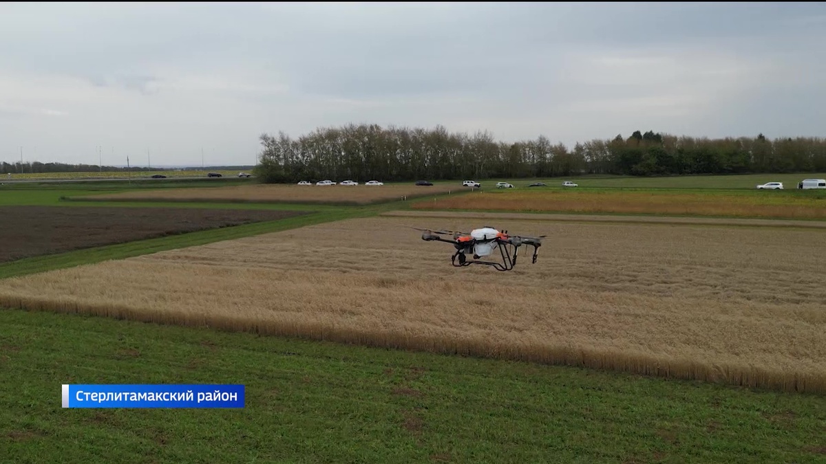    Беспилотные помощники: сельхозпредприятия Башкортостана намерены в несколько раз увеличить парк агродронов