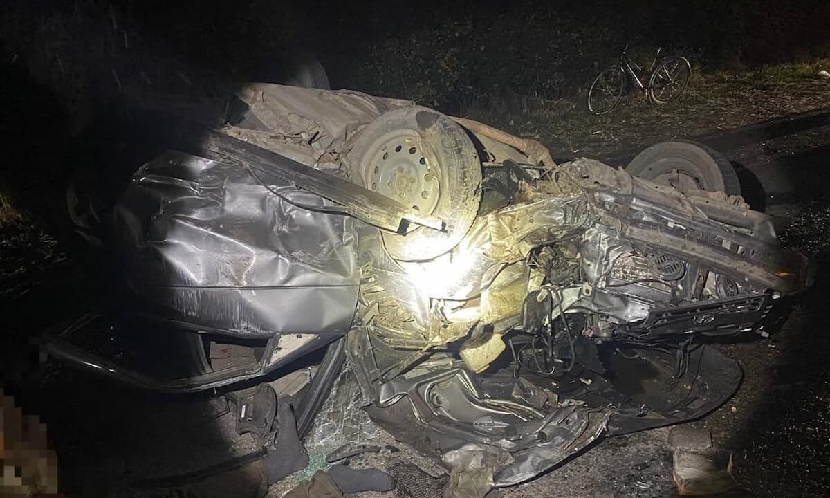    Фото t.me/mvd_23