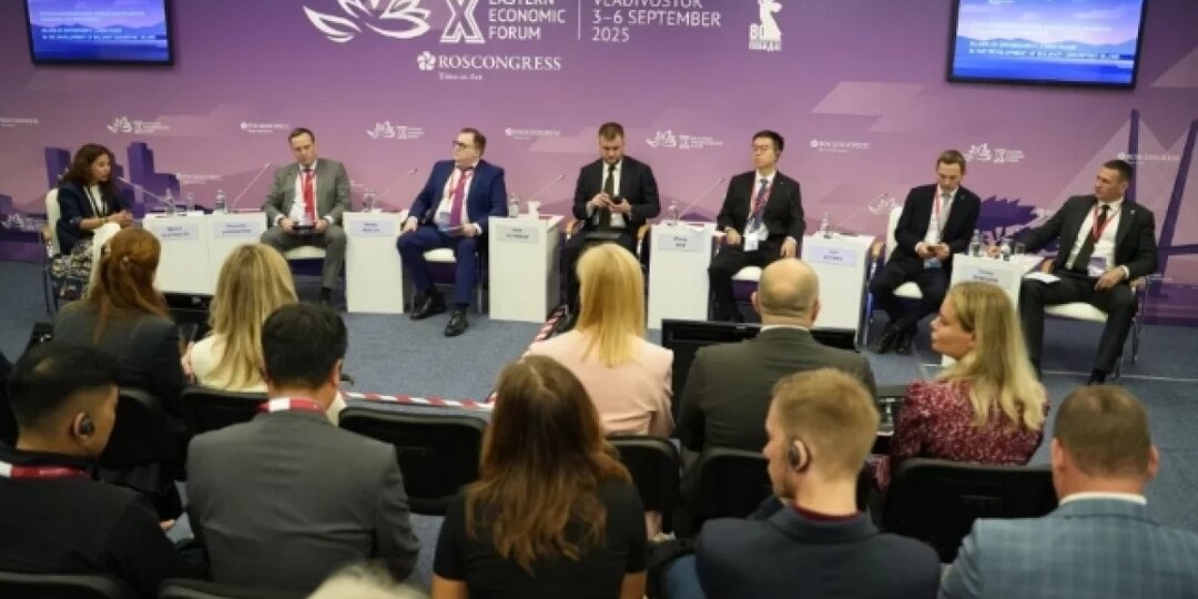 Дмитрий Демешин рассказал о развитии Большого Уссурийского на ВЭФ‑2025