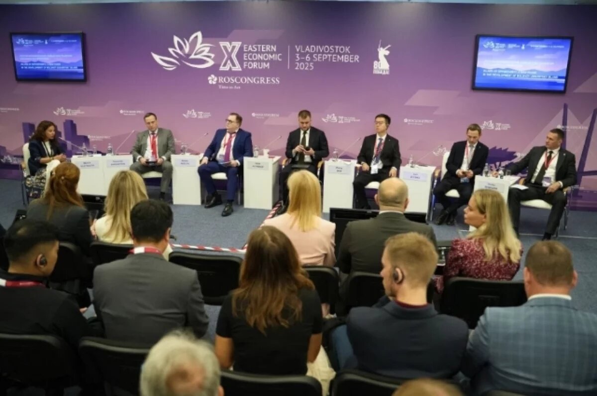    Дмитрий Демешин рассказал о развитии Большого Уссурийского на ВЭФ‑2025