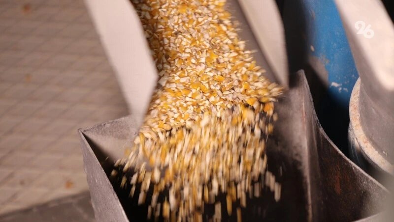      Фото: Дмитрий Ахмадуллин / / ИА «Победа26»