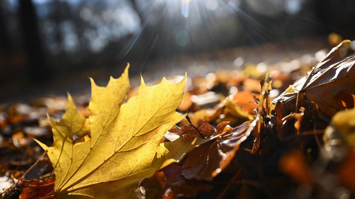 Фото: Sebastian Gollnow/globallookpress.com