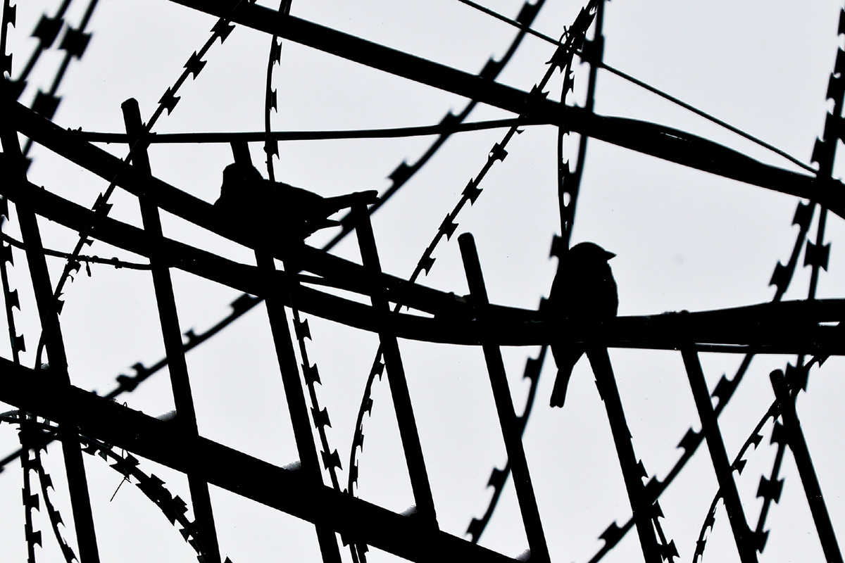 Мужчина получил реальный срок. Фото: Олег Укладов