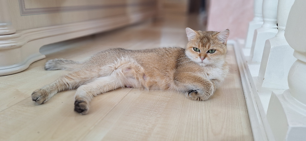 Мамочка на посту.