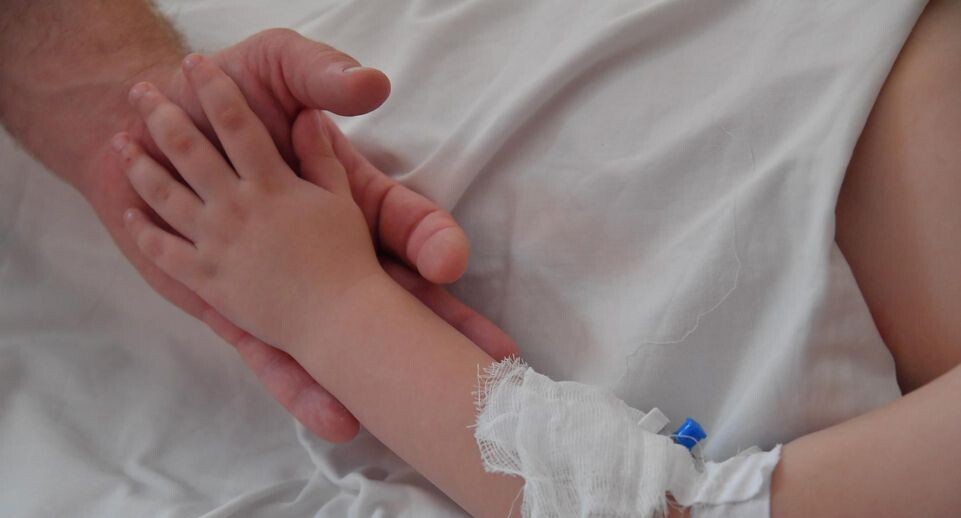    Komsomolskaya Pravda/Global Look Press / www.globallookpress.com