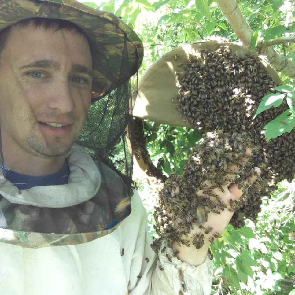                                                                Фото с нашей пасеки