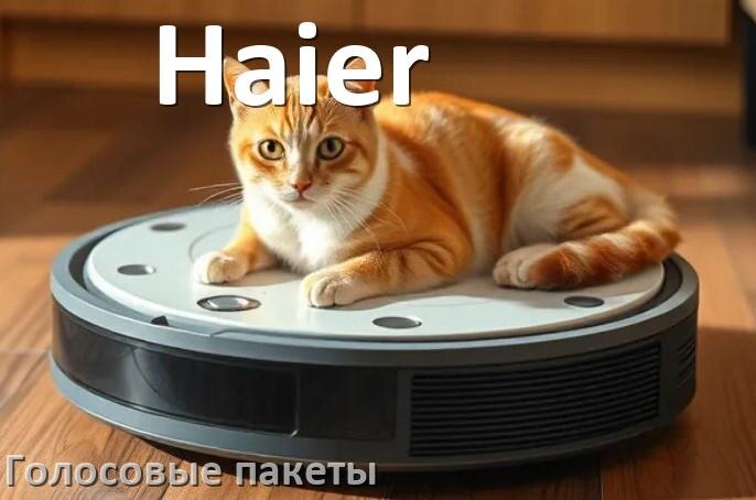
Языковые голосовые пакеты для робота пылесоса Haier скачать русскую озвучку