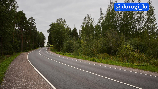 Фото: Dorogi_lo/telegram