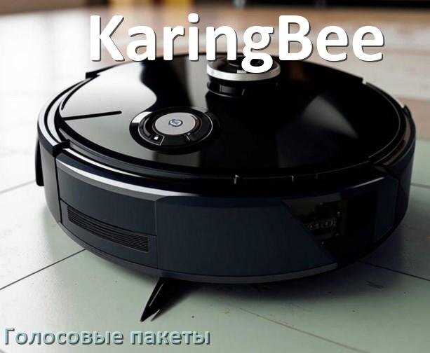 
Голосовые языковые пакеты для робота пылесоса KaringBee скачать озвучку на русском