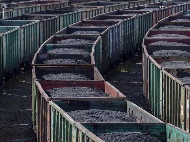    Фото: ТАСС/Александр Рюмин