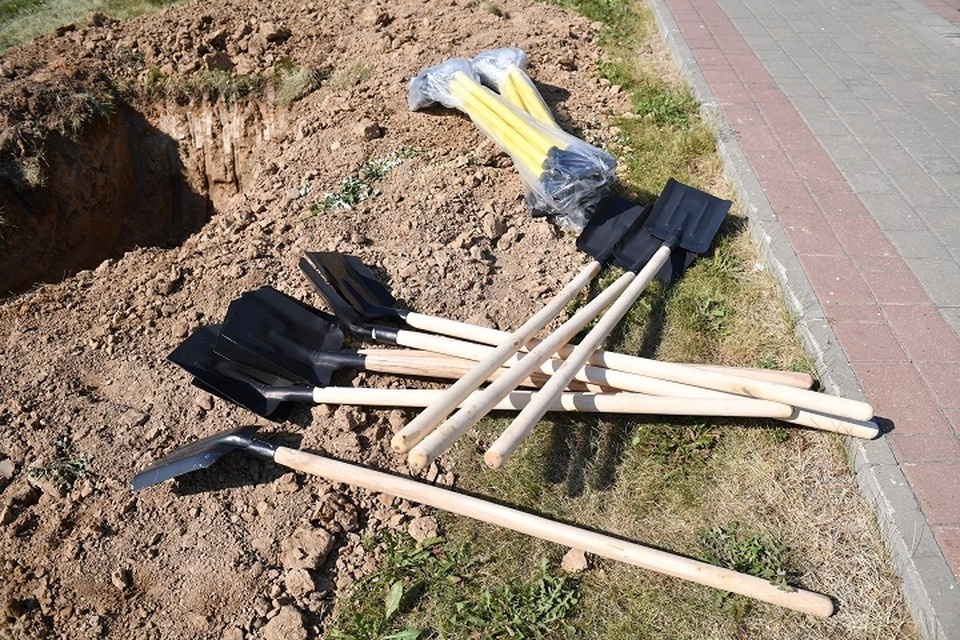    Юношеская сборная России по футболу высадит 300 деревьев в Хабаровском крае Михаил ФРОЛОВ