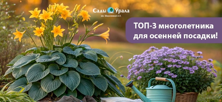 Создать карусель