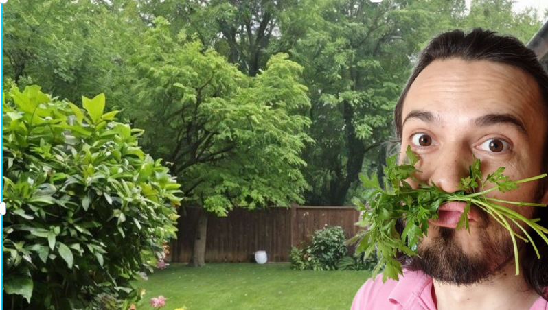 Не просто зелень: секреты петрушки, укропа и других травяных помощников от диетолога