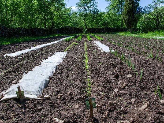 Тянуть с отсыпкой до следующего года, значит снова жить на глине и грязи. Лучше завершить этот этап в тёплый сезон.