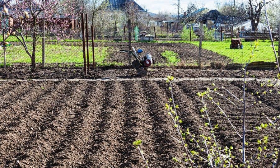 Плодородный грунт на участок: когда, зачем и как правильно отсыпать