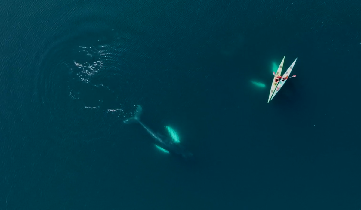 Фото: социальные сети