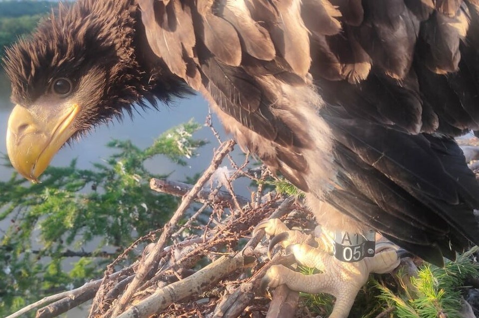    Фото: тгк «Вулканы Камчатки»