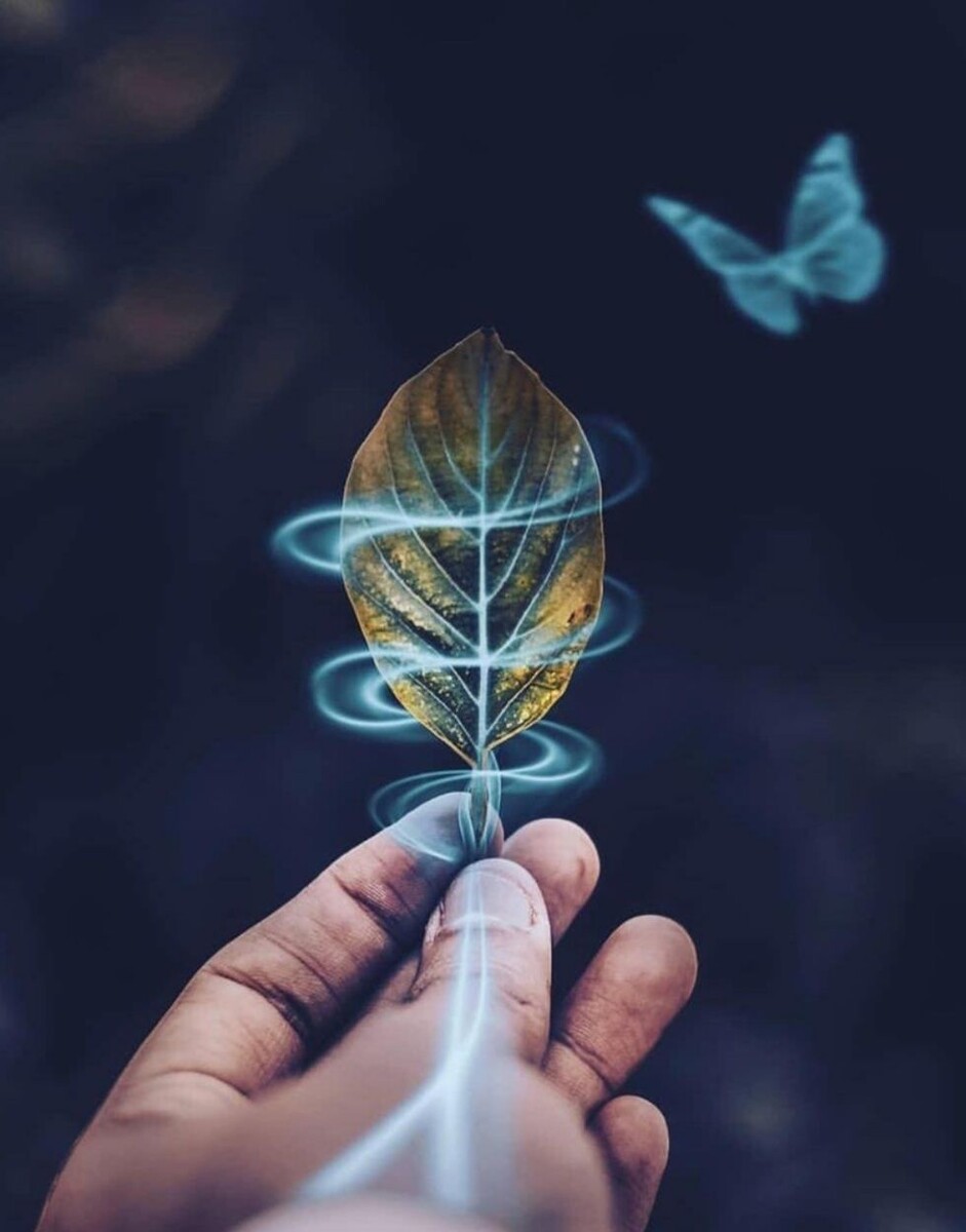 фото из просторов интернета