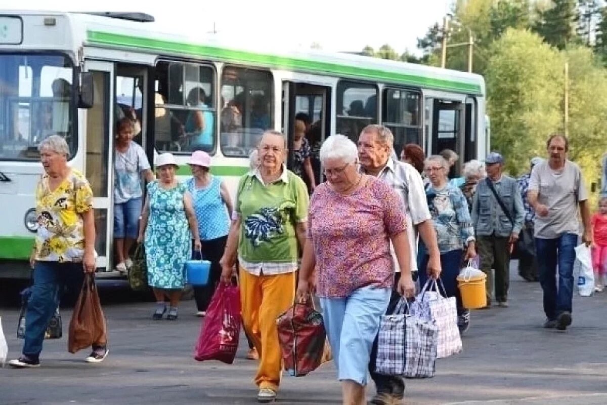    Мэр Омска сворачивает садовые маршруты