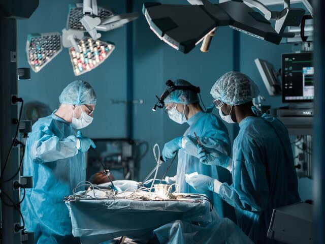    Фото: 123RF/ArturVerkhovetskiy