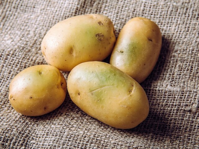    Фото: 123RF/fotohelin