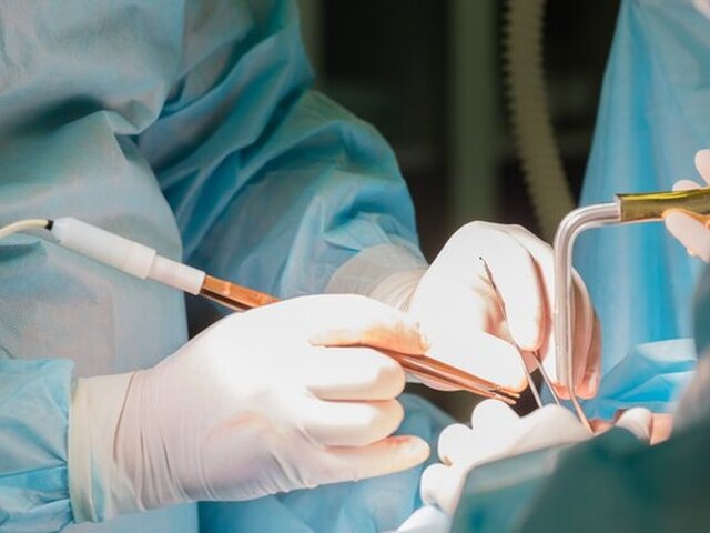    Фото: 123RF/lyoshanazarebko