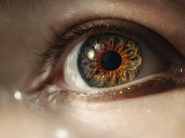    Фото: 123RF/kucingliarz