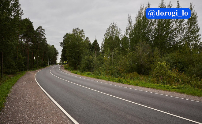    © Telegram-канал Dorogi_lo