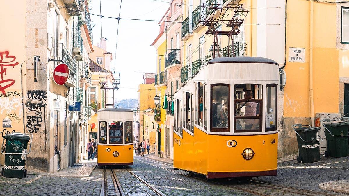    Фото: Shutterstock