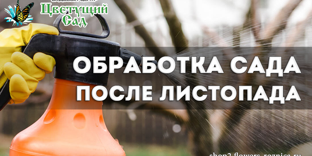 Обработка сада после листопада