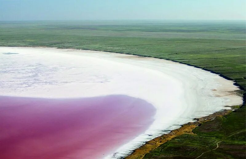 Фотография взята из источника yandex.ru