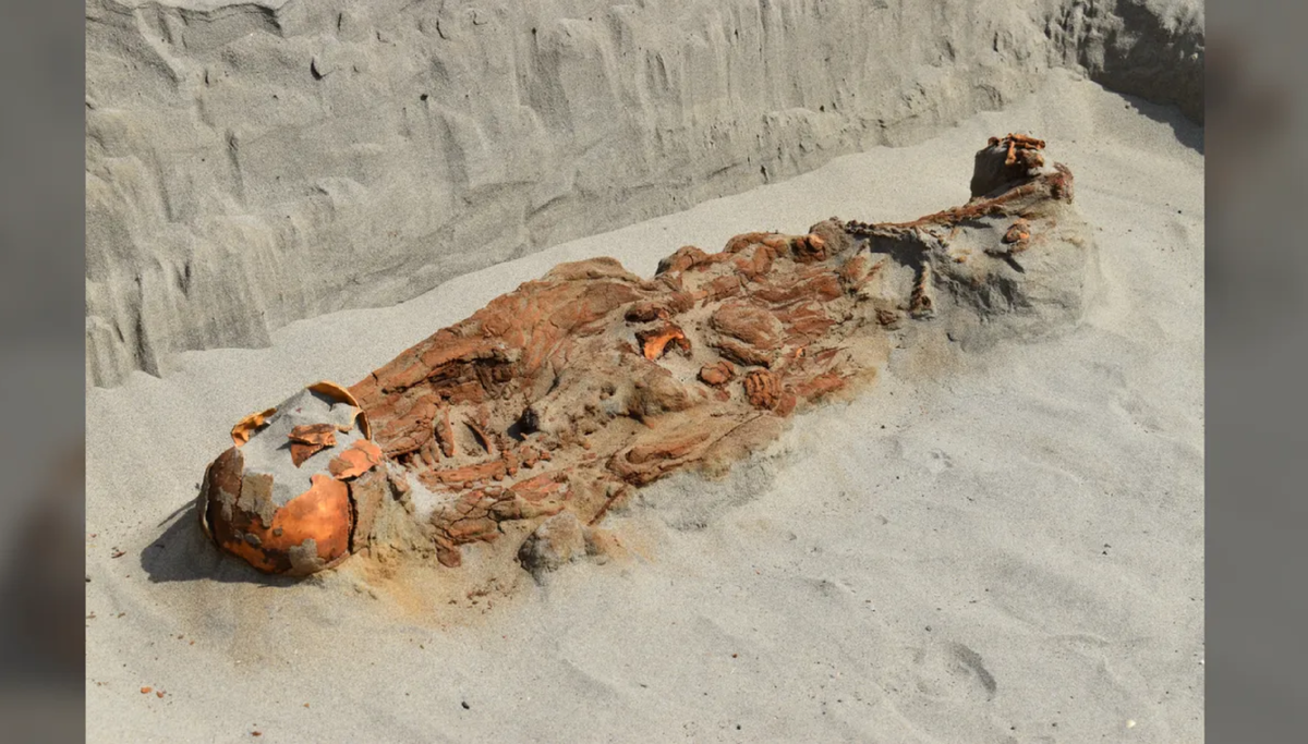 Останки одной из жертв.