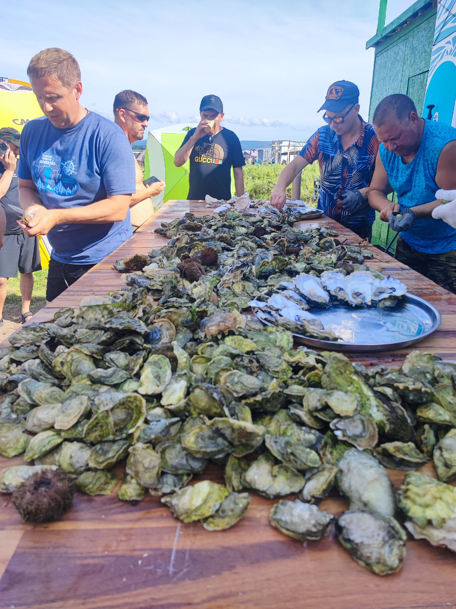 Море устриц набрали