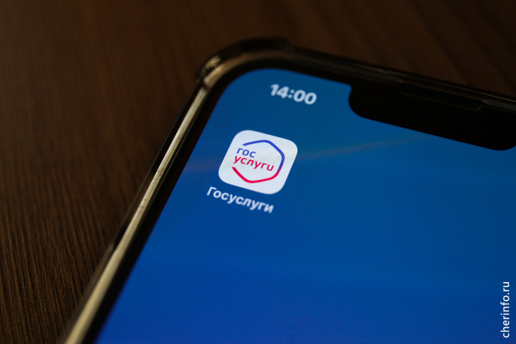    Такие сообщения уже стали приходить жителям Вологодской области на госуслугах.