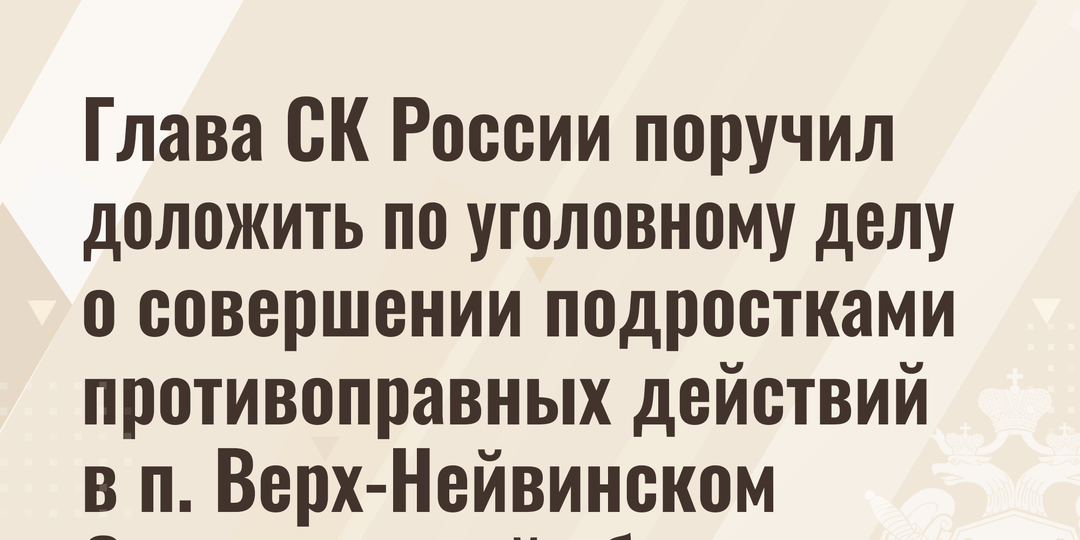 Глава СК России поручил доложить по уголовному делу о совершении подростками противоправных действий в п. Верх-Нейвинском