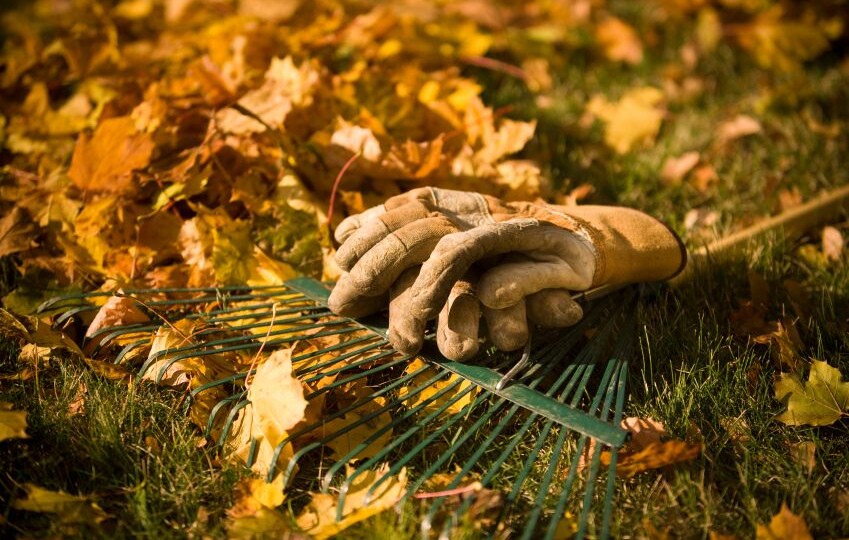 Осенние ошибки дачников: как быстро загубить плодородие земли в саду и огороде