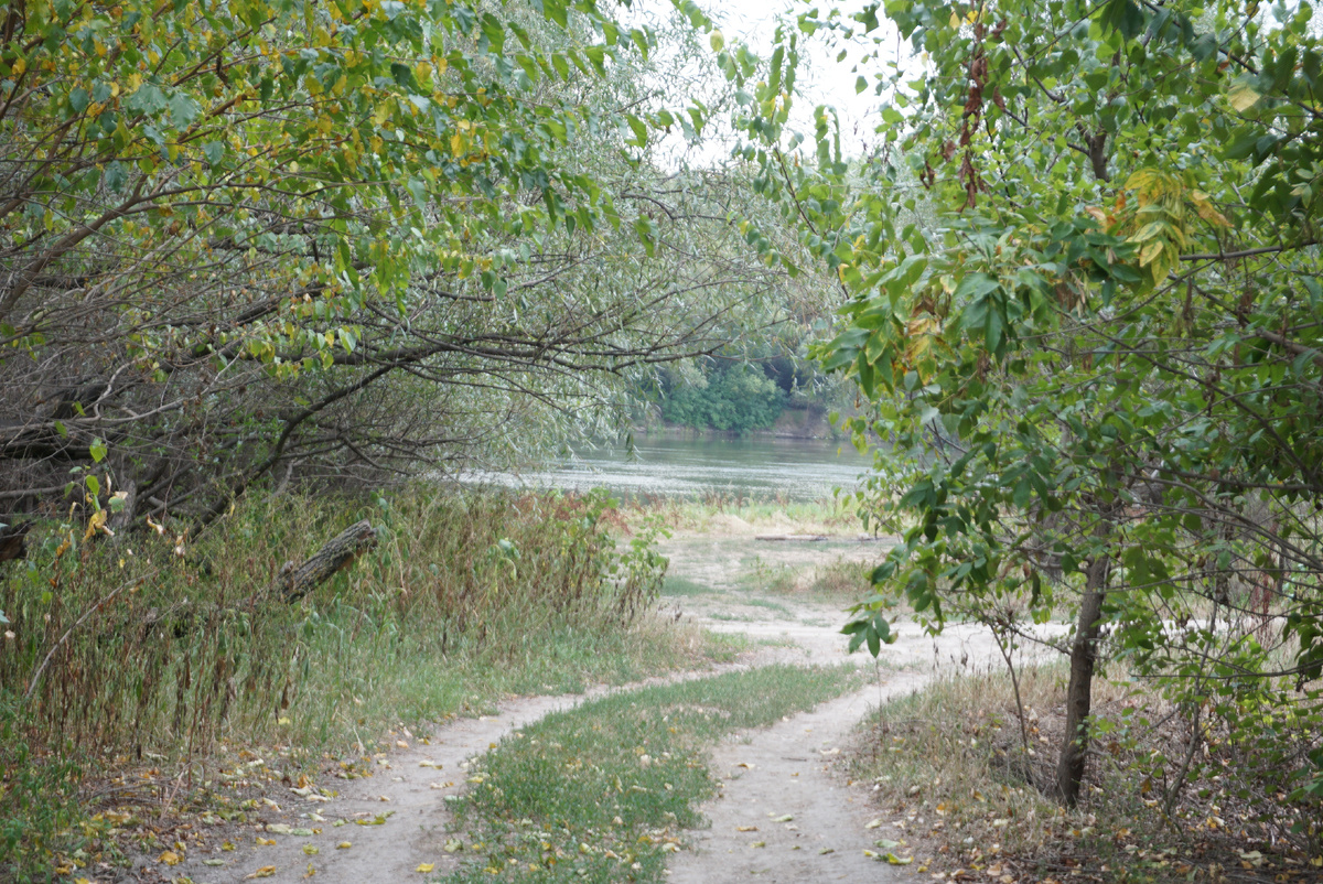 Тропинка к "Кавказской" косе на Днестре