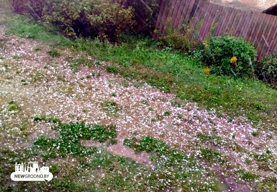    Фото: newgrodno.by