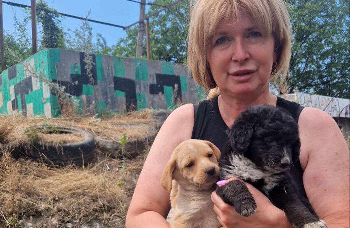 Светлана Ким с командой ветеринаров, не думая о рисках, отправилась на помощь четвероногим на ДонбассФото: t.me/shenyachiipatrul/5685