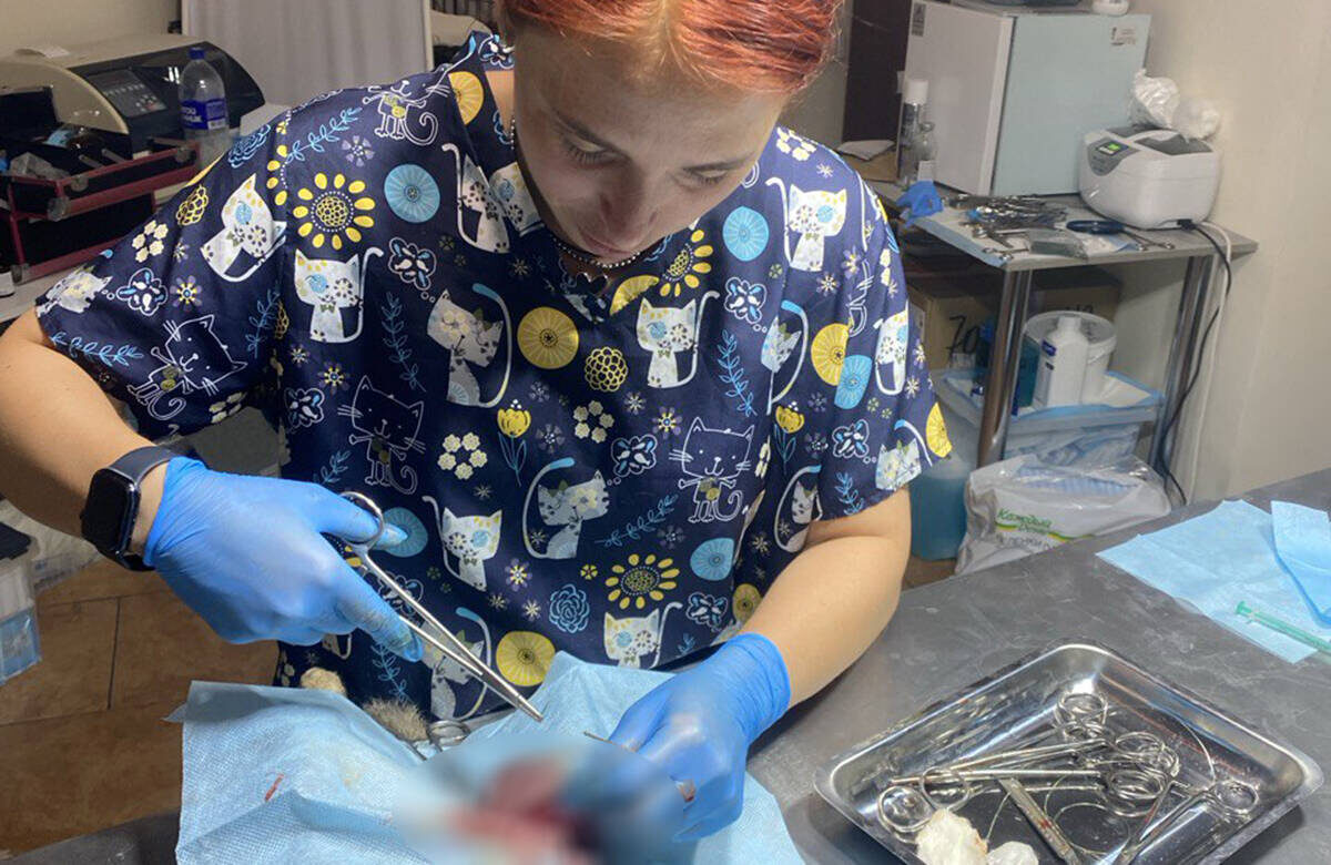 «16 часов непрерывных операций: хирург Юлия работала без отдыха – каждые полчаса проводила новую операцию»Фото: t.me/shenyachiipatrul