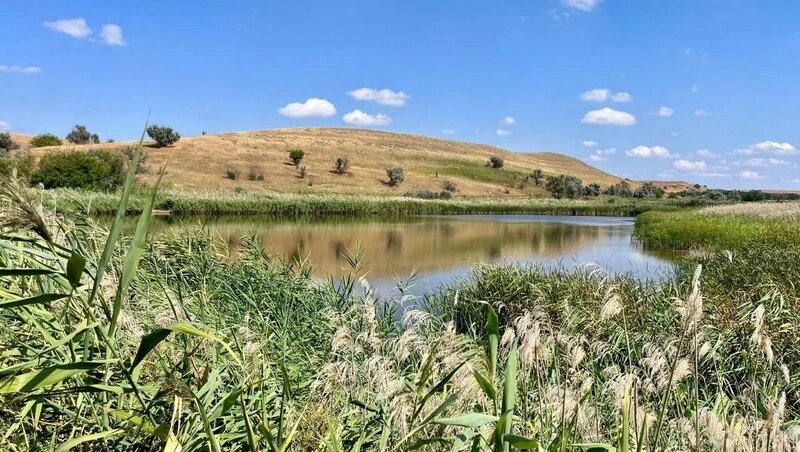      Фото: Минприроды СК