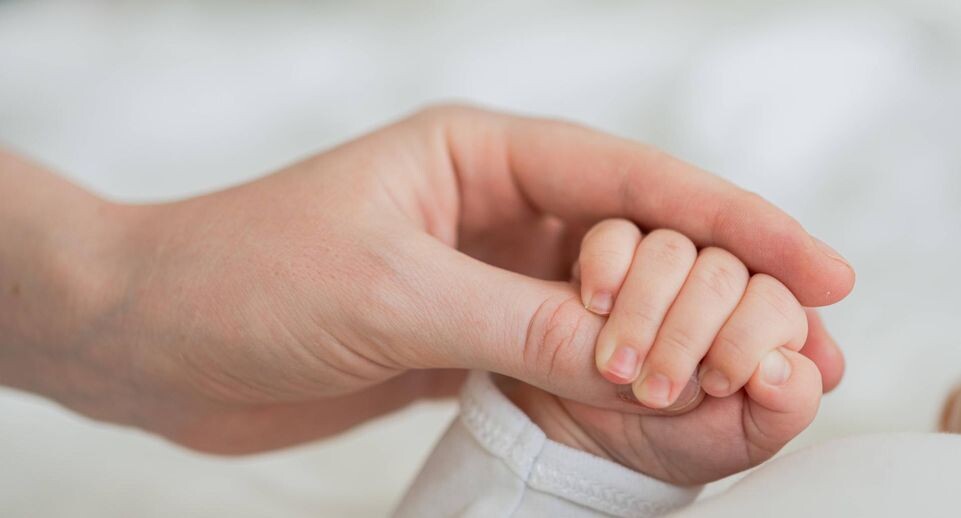    IMAGO/Zoonar.com/Iuliia Zavalish / www.globallookpress.com